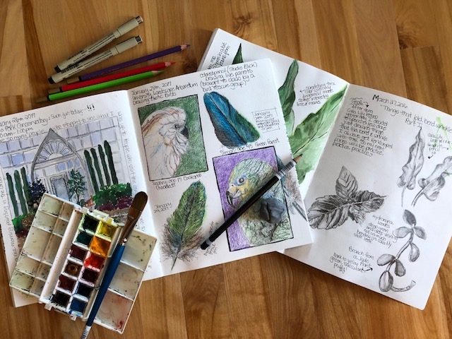 Nature's Sketchbook 14 Journals – Cottage Arts